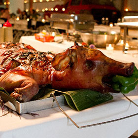 Snout and Co. Catering